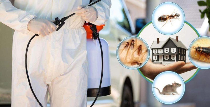 Urla Böcek İlaçlama