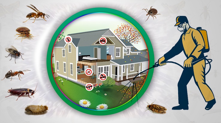 Urla Böcek İlaçlama