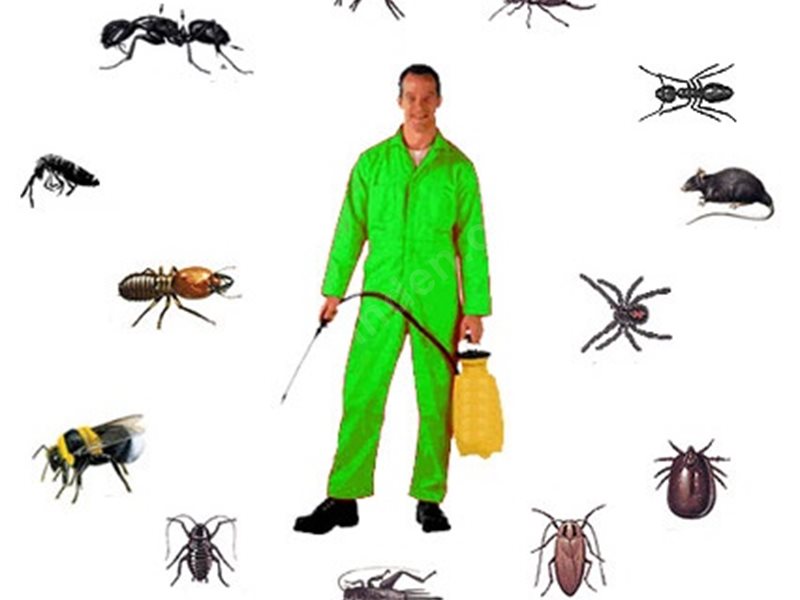 Urla Böcek İlaçlama